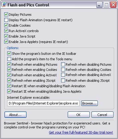 Enable Scripting Activex Controls Cookies And Java Programs For Beginners